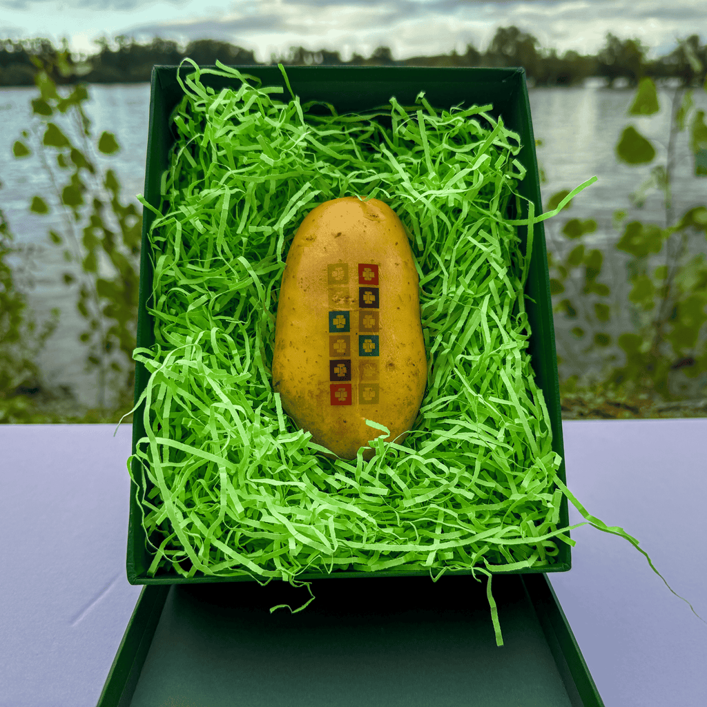 Eine Kartoffel mit vielen kleine Logos bedruckt in der grünen Geschenkbox