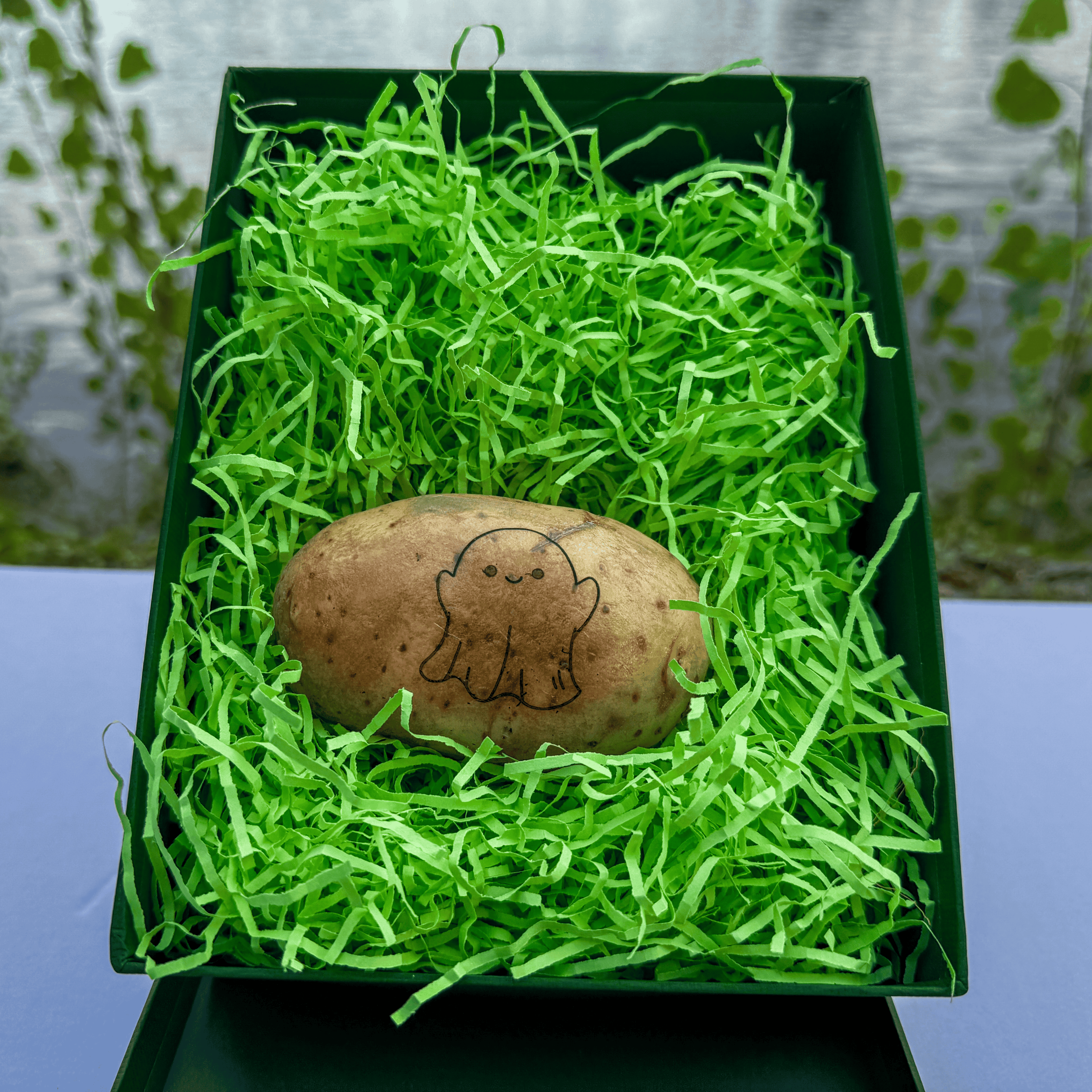 Ein kleiner Geist als Aufdruck auf einer Kartoffel, die in der grünen Geschenkbox liegt
