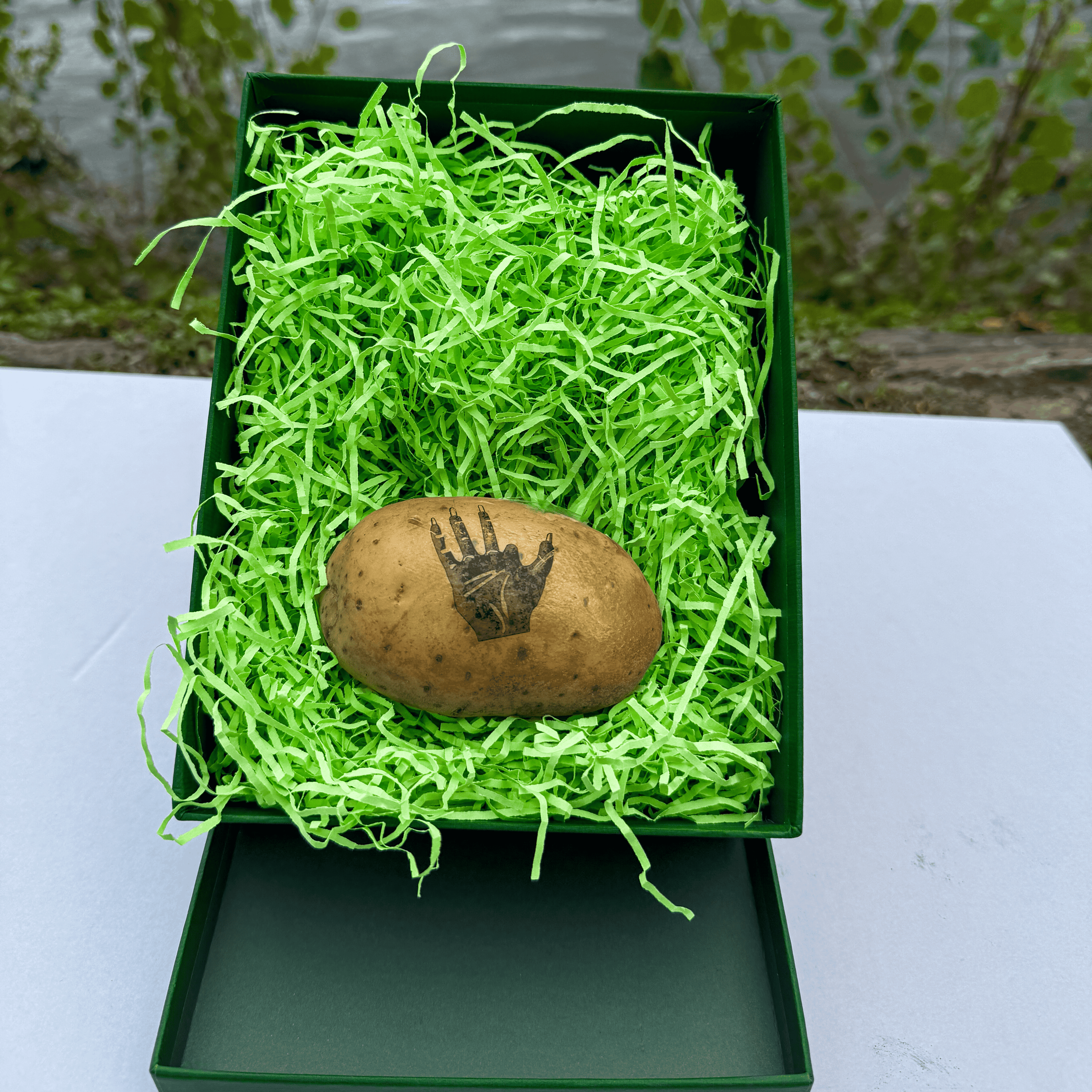 Eine mit einer Halloween Grusel Hand bedruckte Kartoffel in der grünen Geschenkbox