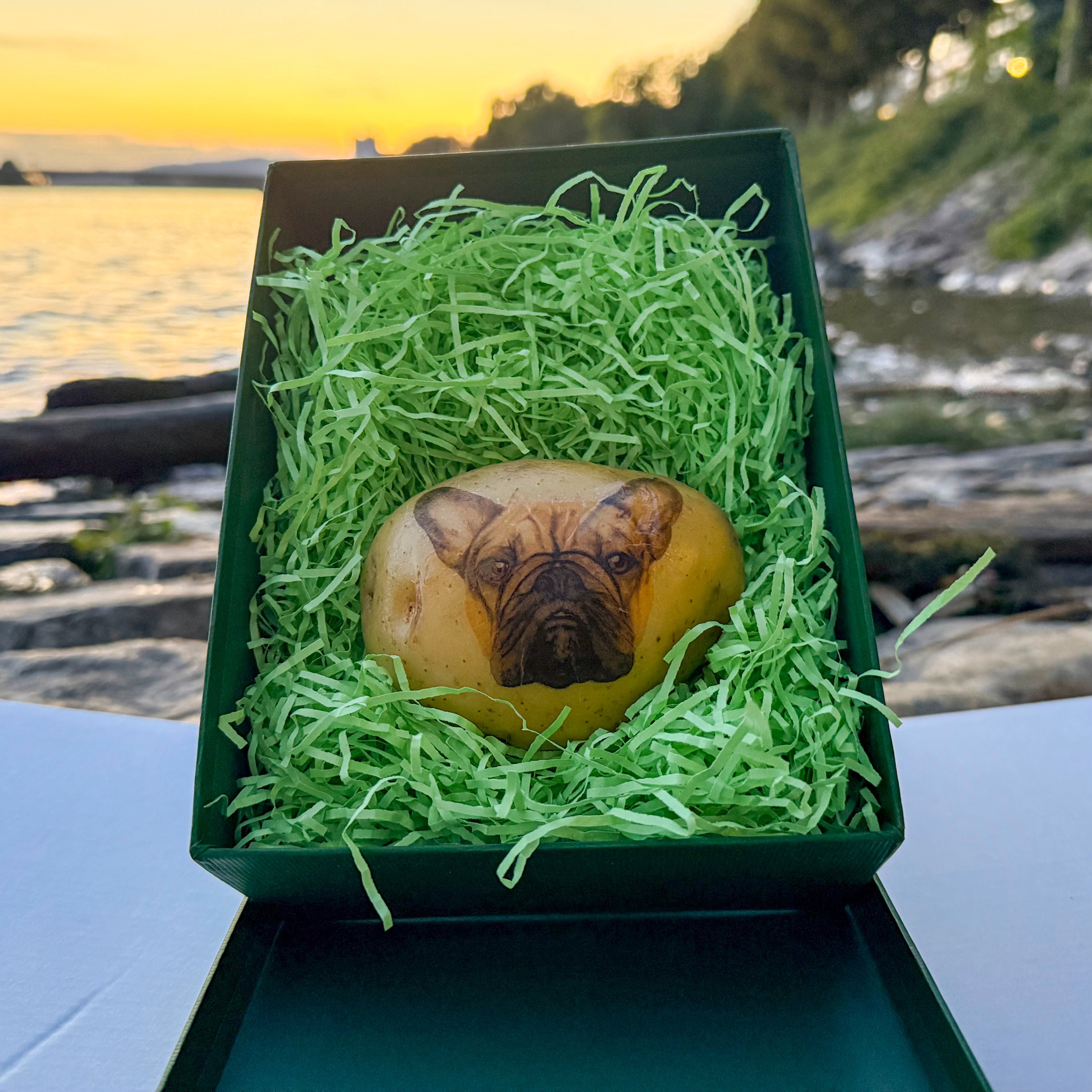 Die mit einem Hundekopf bedruckte Kartoffel in der grünen Geschenkbox