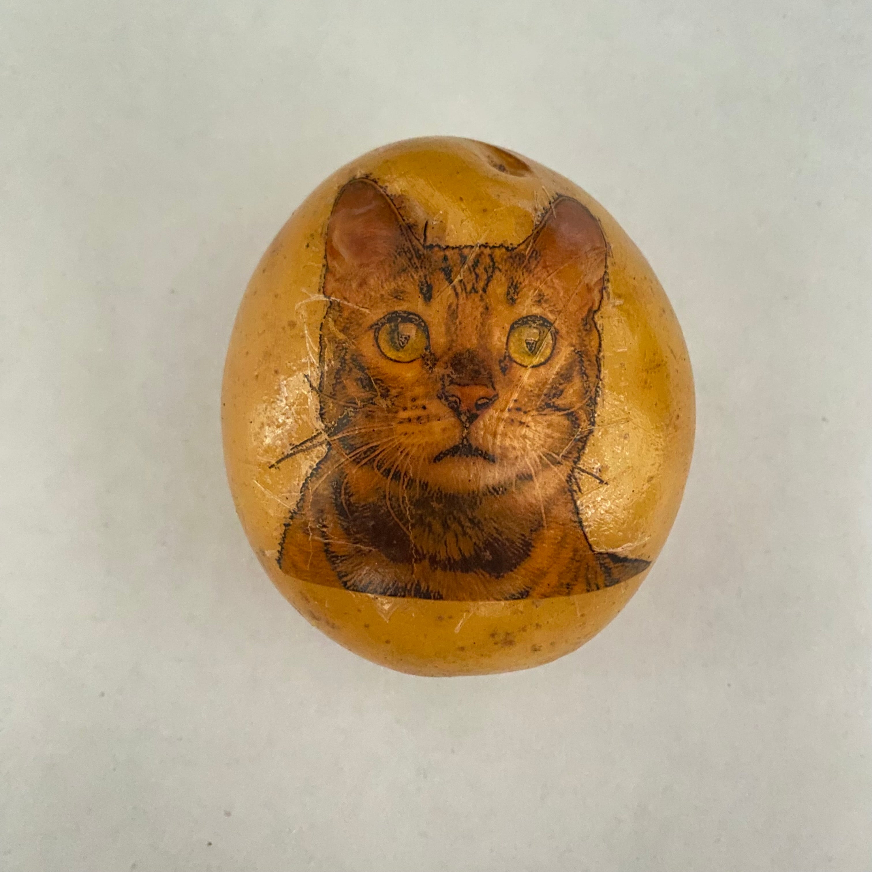 Kartoffel mit einem Katzenbild als Aufdruck