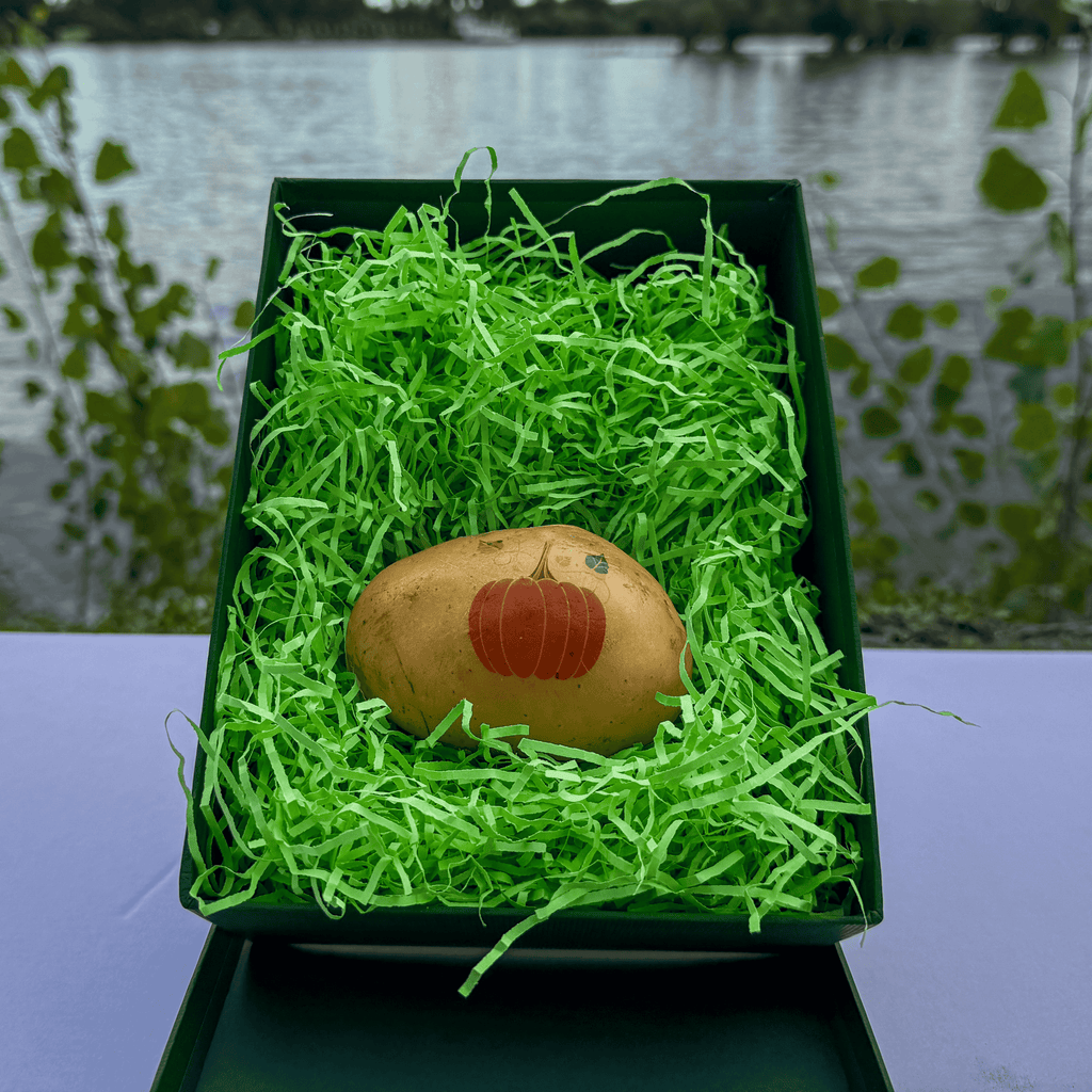 Eine Kartoffel bedruckt mit einem orangenen Kürbis in der grünen Geschenkbox liegend