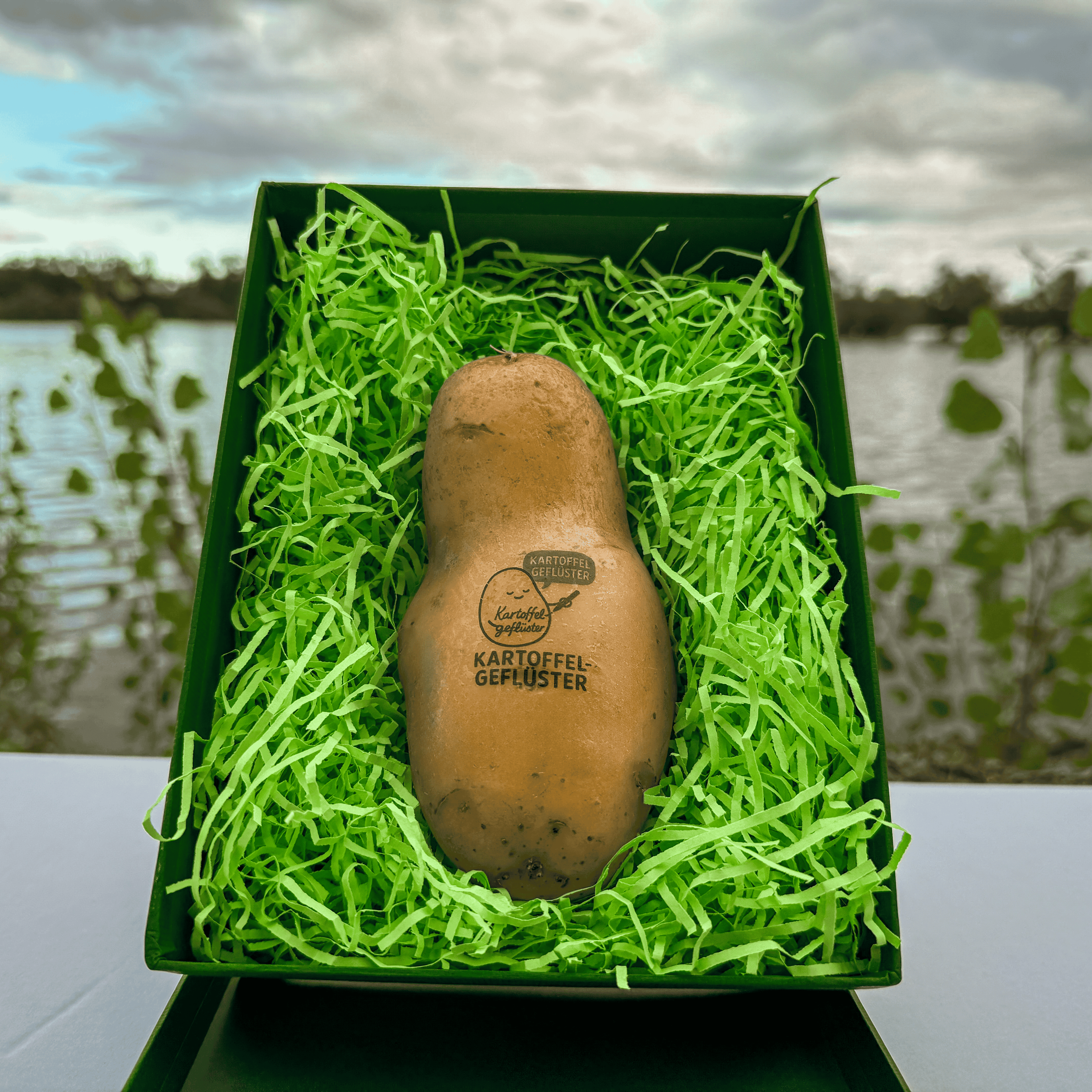 Die mit dem Kartoffel Geflüster Logo bedruckte Kartoffel in der grünen Geschenkbox