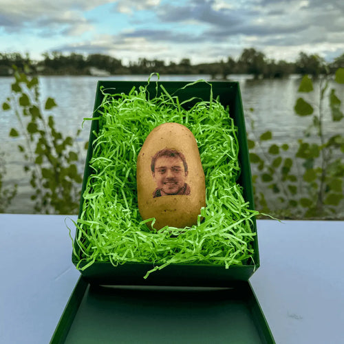 A face of a man printed on a potato. The potato is lying in a gift box on green fluff.