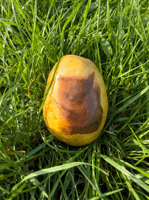 Kitty - Kartoffel - Deine Katze gedruckt auf einer Kartoffel - Kartoffel Geflüster