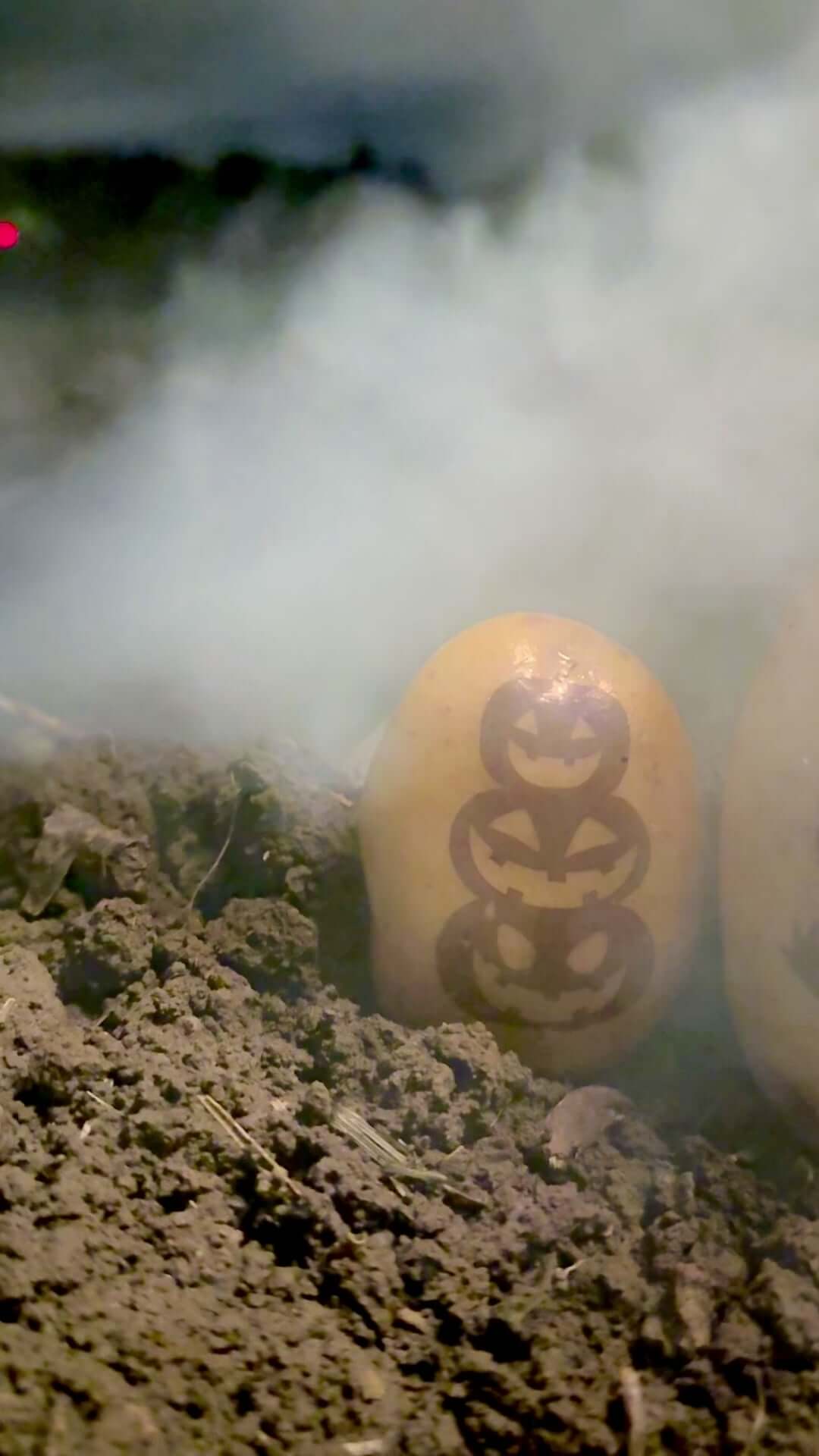 Halloween Kartoffel - Spooky Season Deko mal anders (3 Stk)